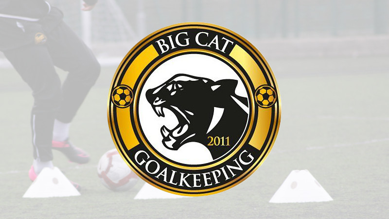 Big Cat Goalkeeping Banner
