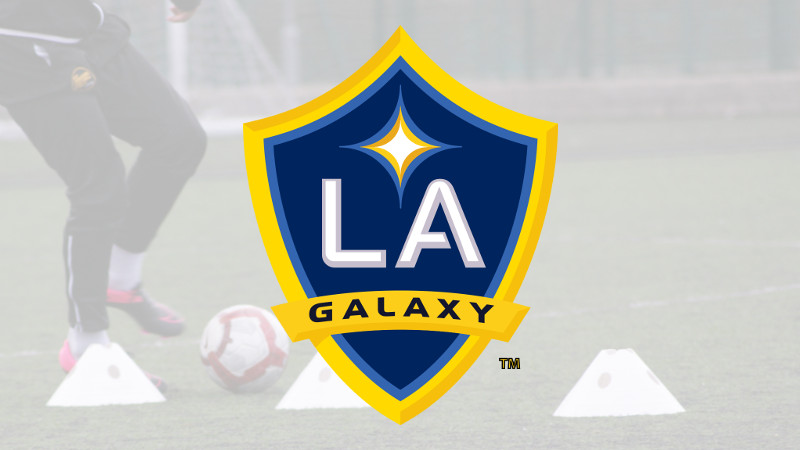 LA Galaxy Banner