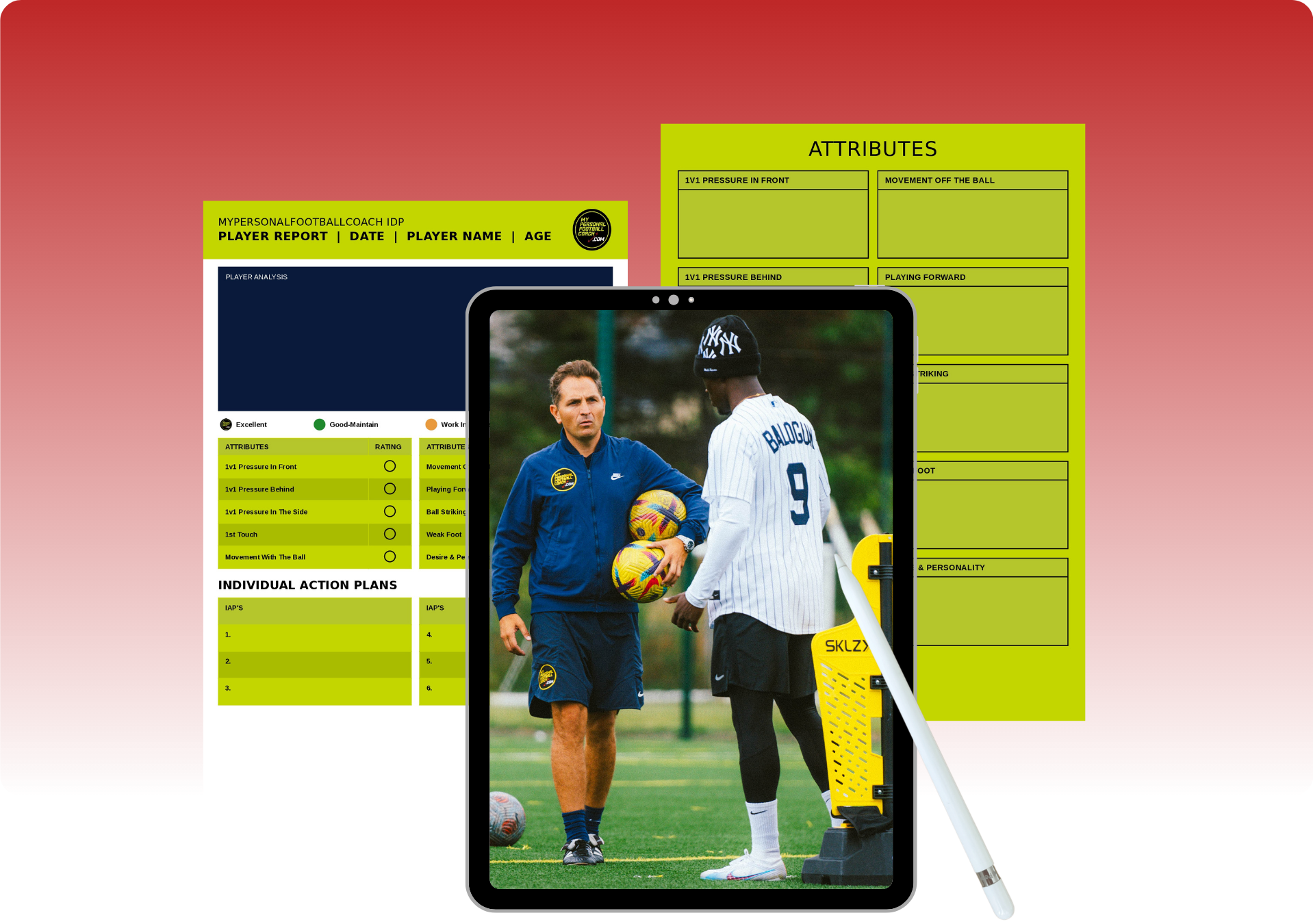 Individual Development Plan IDP