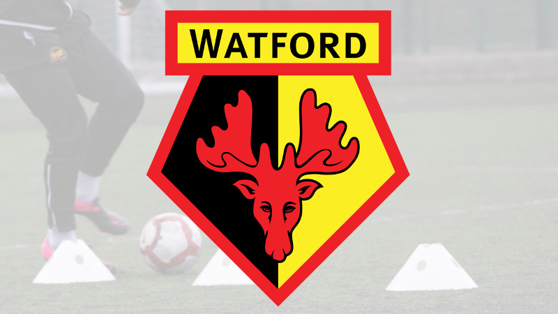 Watford FC Banner
