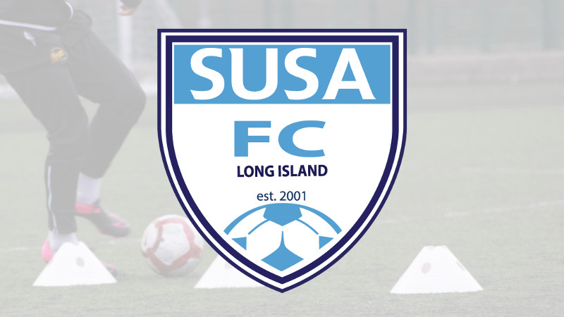 Susa Academy